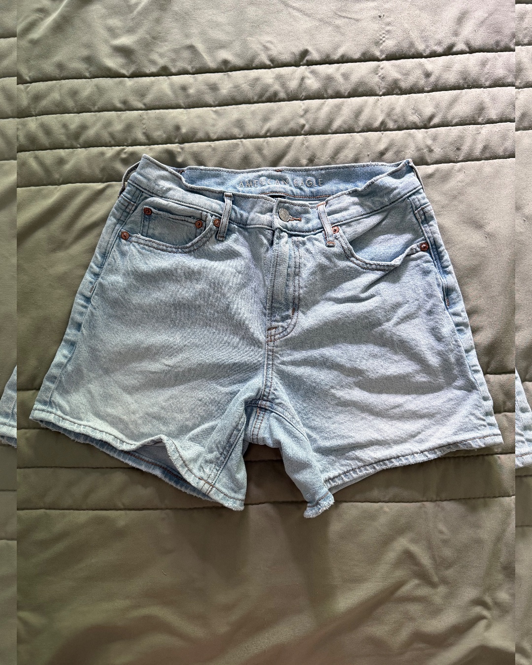AE Denim Strigid Shorts